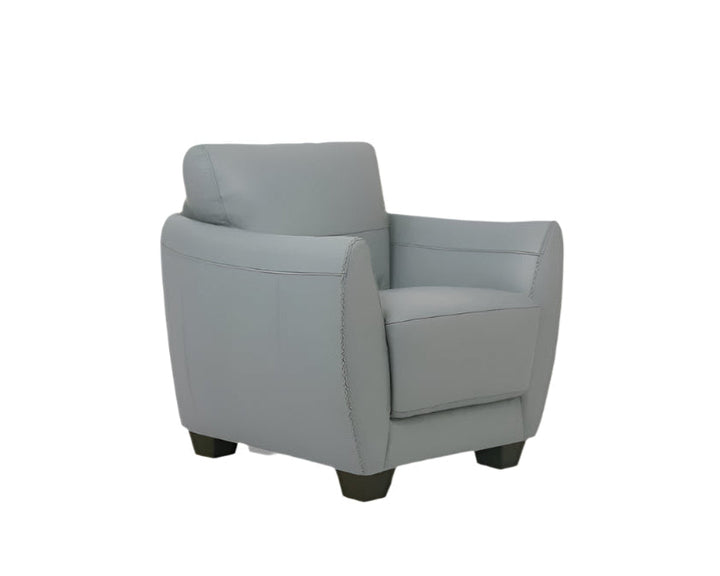 Montreux 33" Gray Genuine Leather Arm Chair